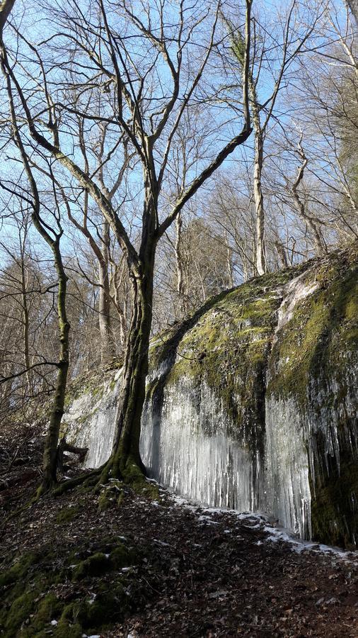 Saengerwiese Eisenach Kültér fotó