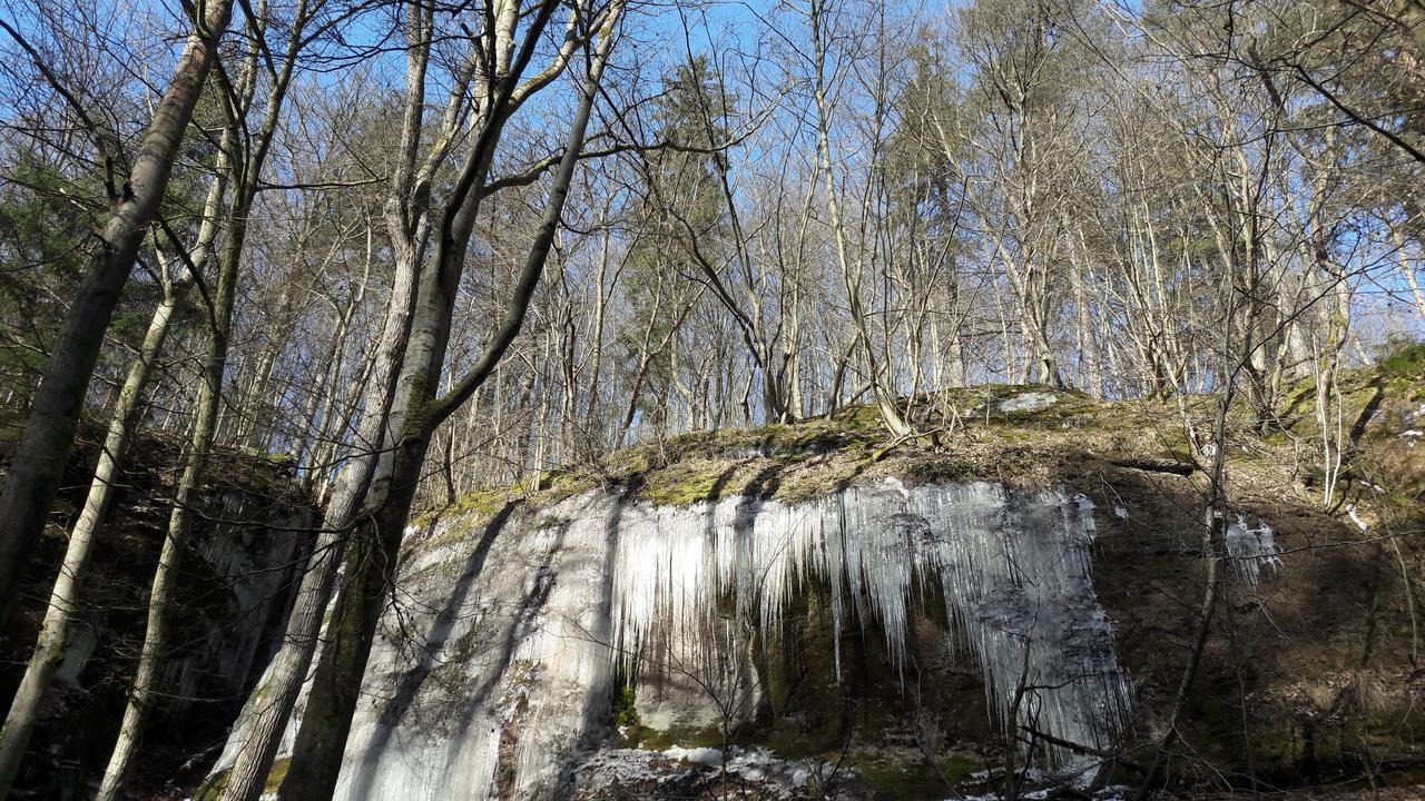 Saengerwiese Eisenach Kültér fotó